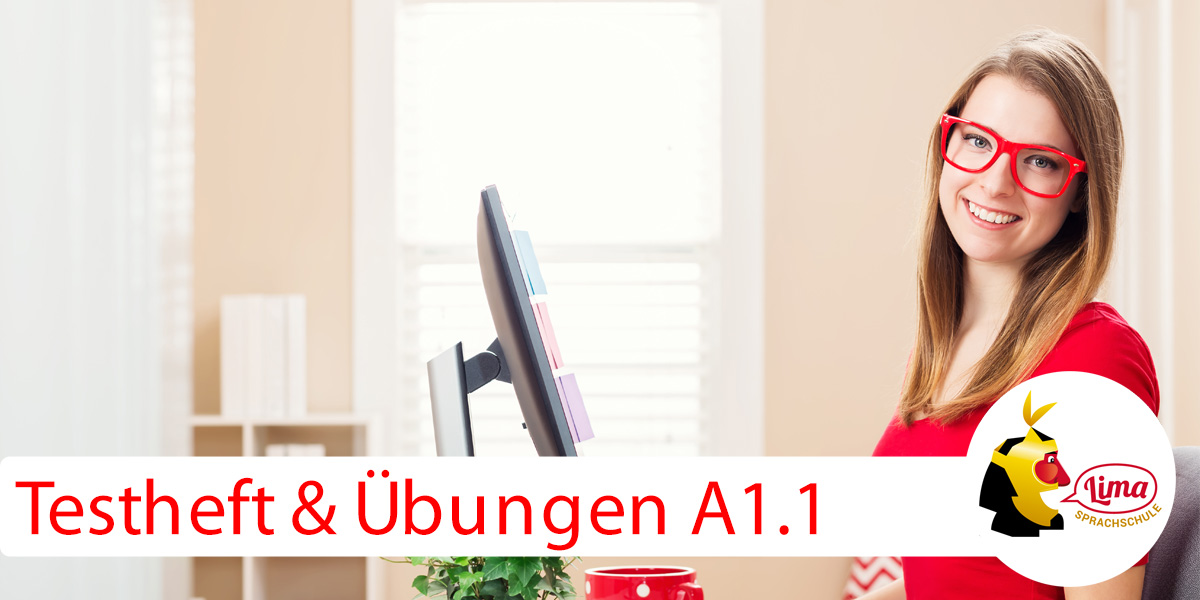 Deutsch Testheft A1.1
