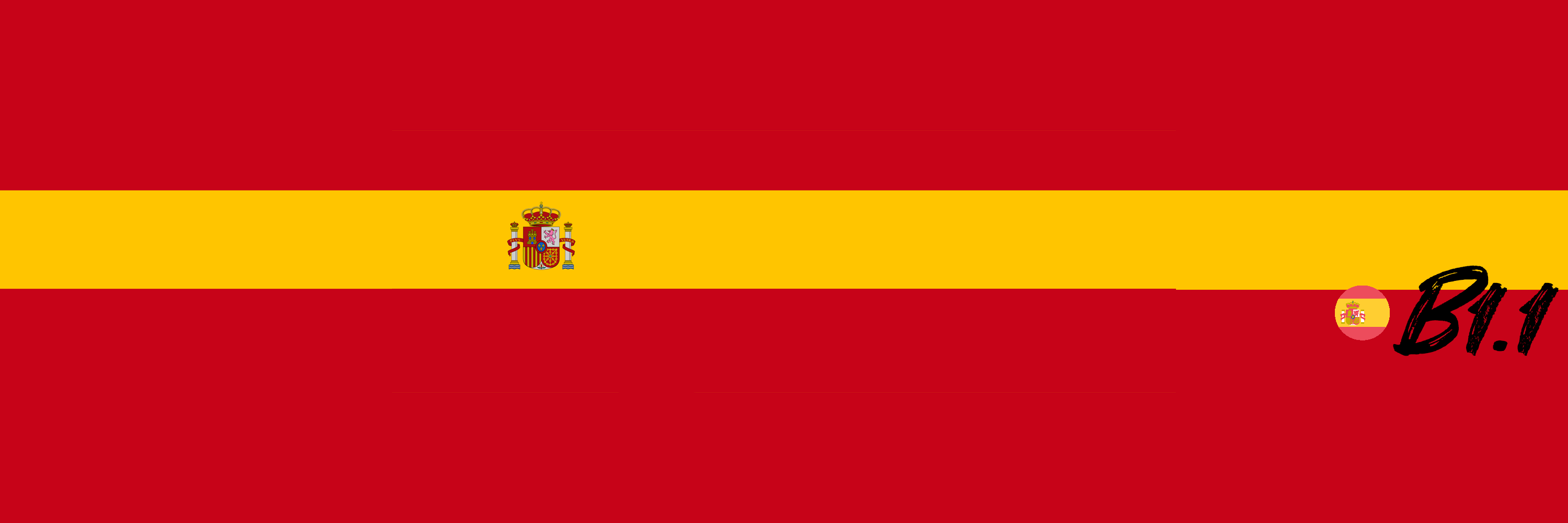 Español B1.1